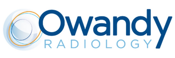 وكيل شركة owandy